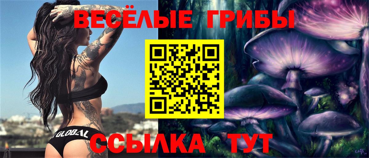 где продают наркотики  Вход с VPN  Галлюциногенные грибы мухоморы  Гусев  Галлюциногенные грибы GOLDEN TEACHER 